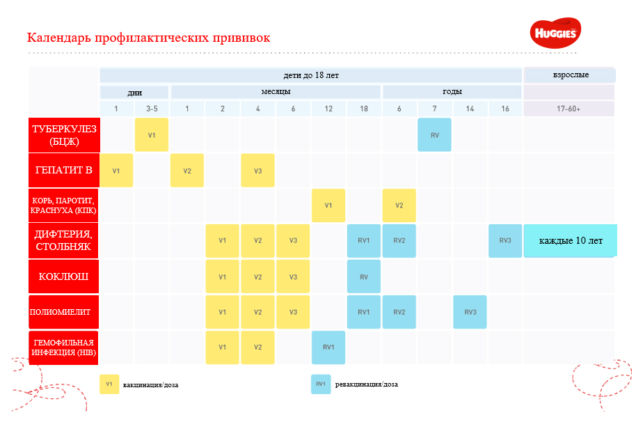 Календарь прививок б